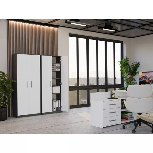 Oliv 2D könyvespolc, irodai szekrény, 74x180x35 cm, antracit-fehér